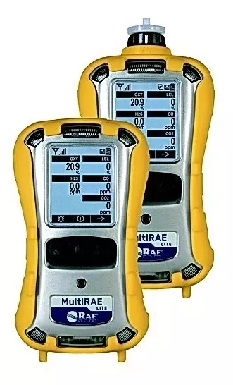 MultiRAE